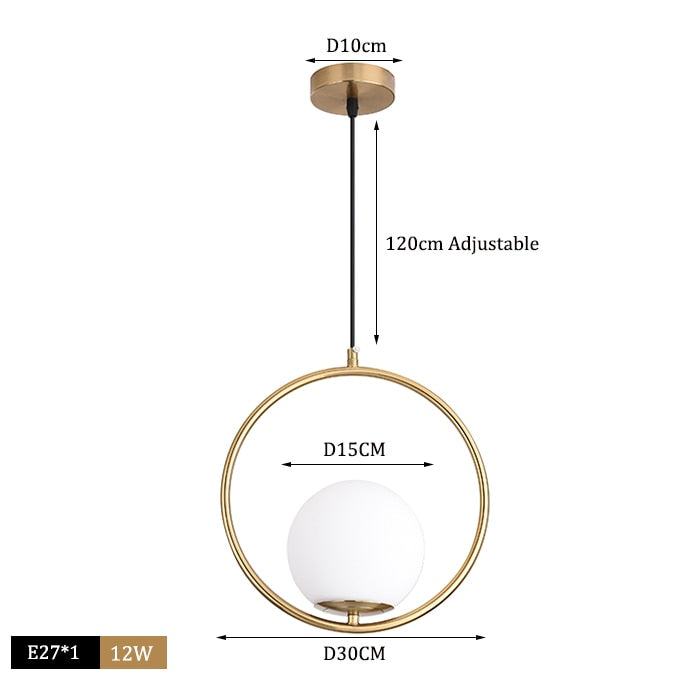 Rovenature Hanging LED Ceiling Light