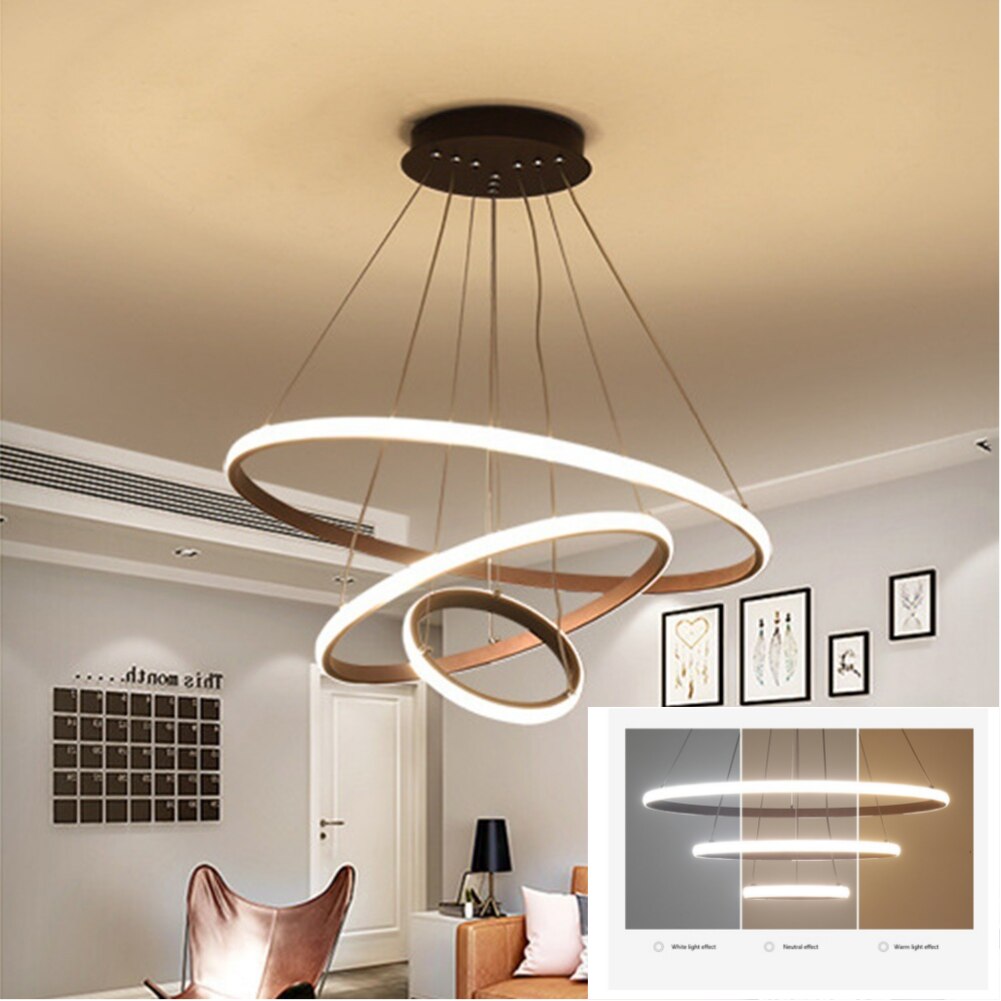 Rovenature Hanging Ceiling Light for the Living Room