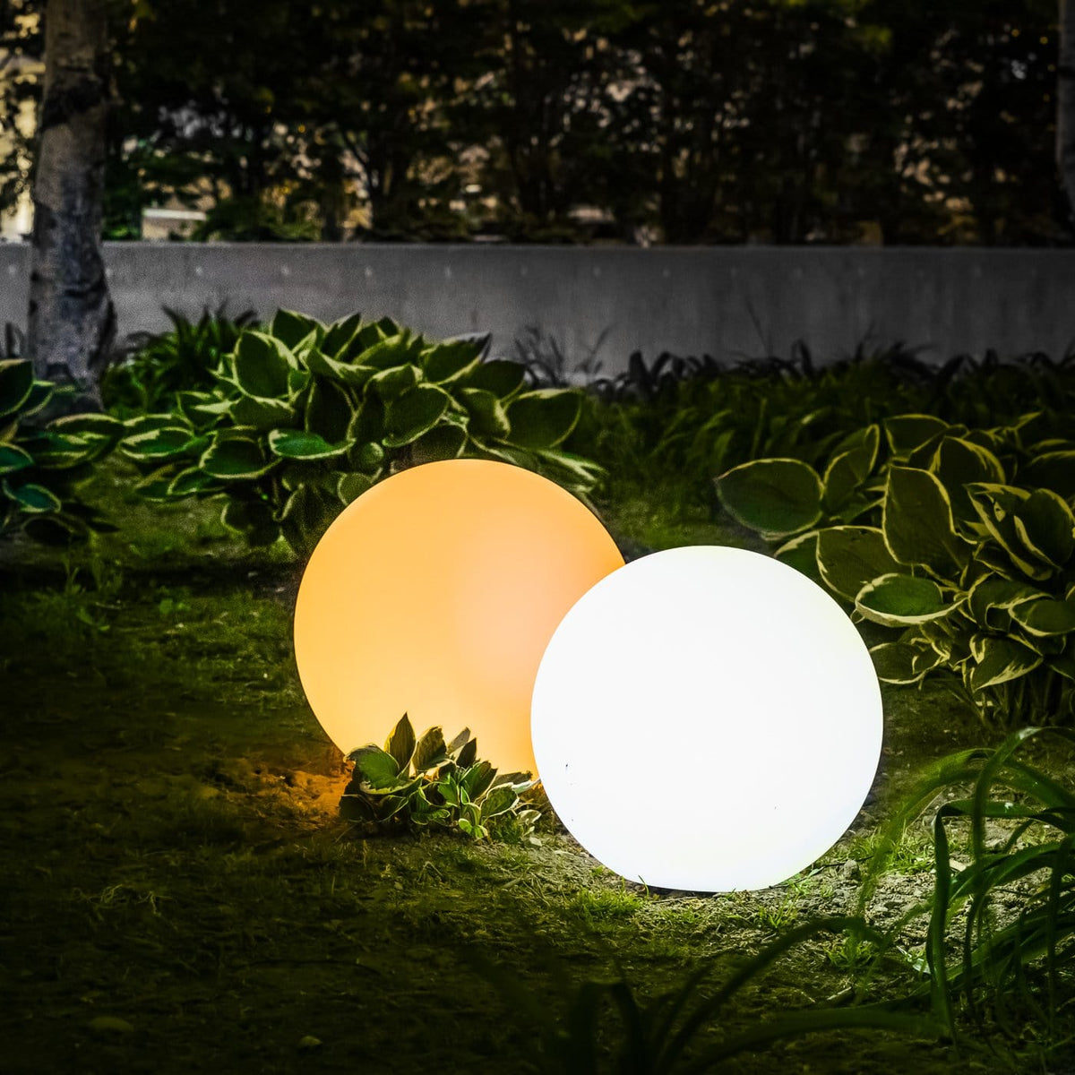 Rovenature Lamp | Portable Indoor/Outdoor Lamp with Remote Control and 4 Color Options