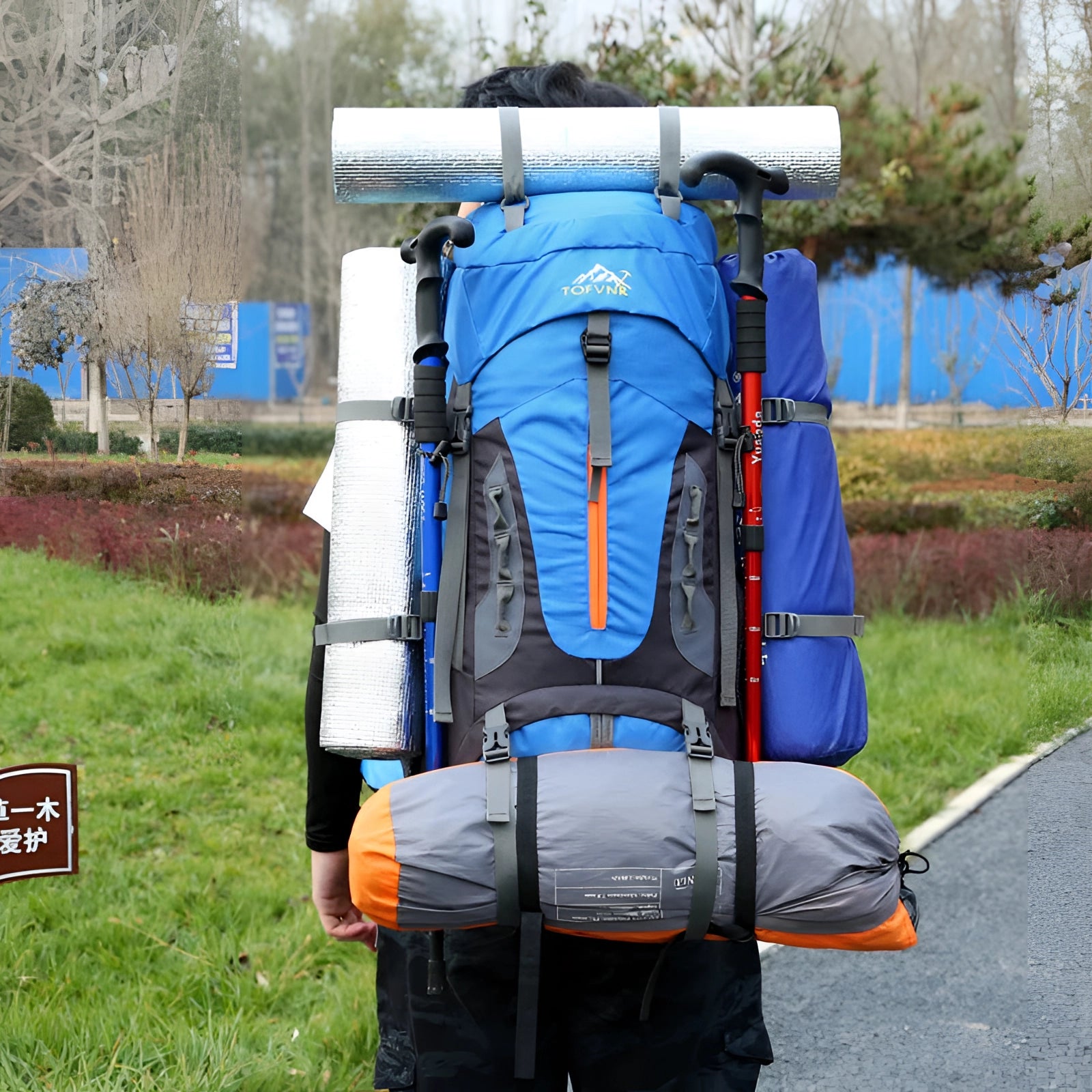 A vibrant electric blue 65L Tofine waterproof hiking backpack, designed for outdoor adventures with adjustable straps, set against a natural backdrop of grass and trees.