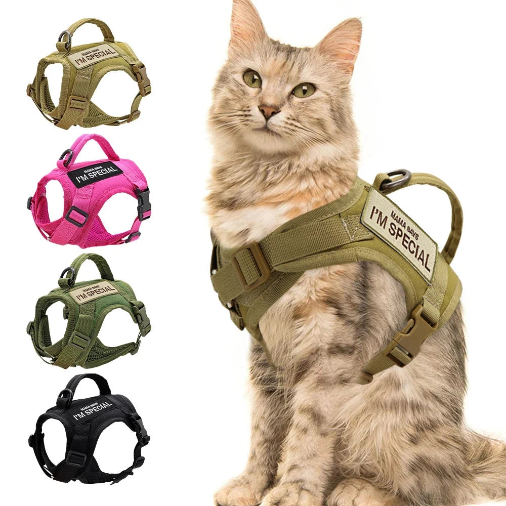 Cat wearing an adjustable escape-proof military-style harness with patches, showcasing its durability and comfort.