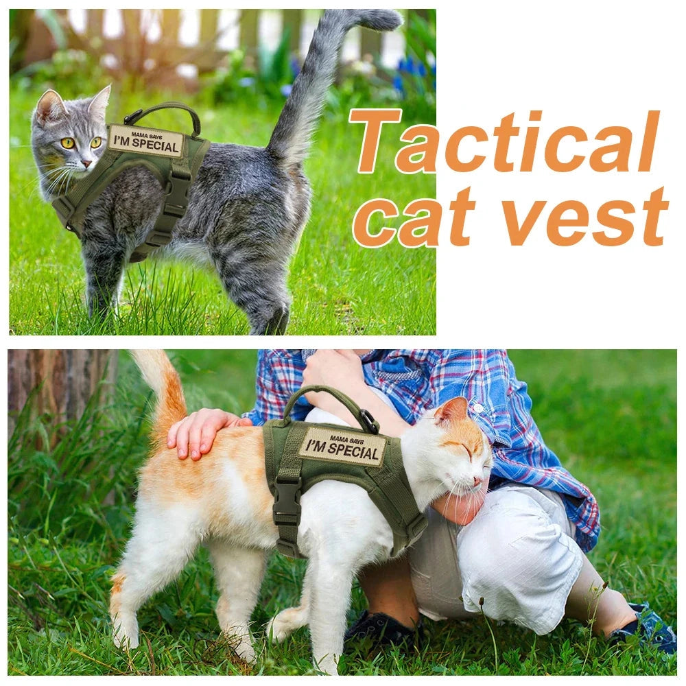 Cat wearing an adjustable escape-proof military-style harness with patches, sitting on grass in a natural outdoor setting.