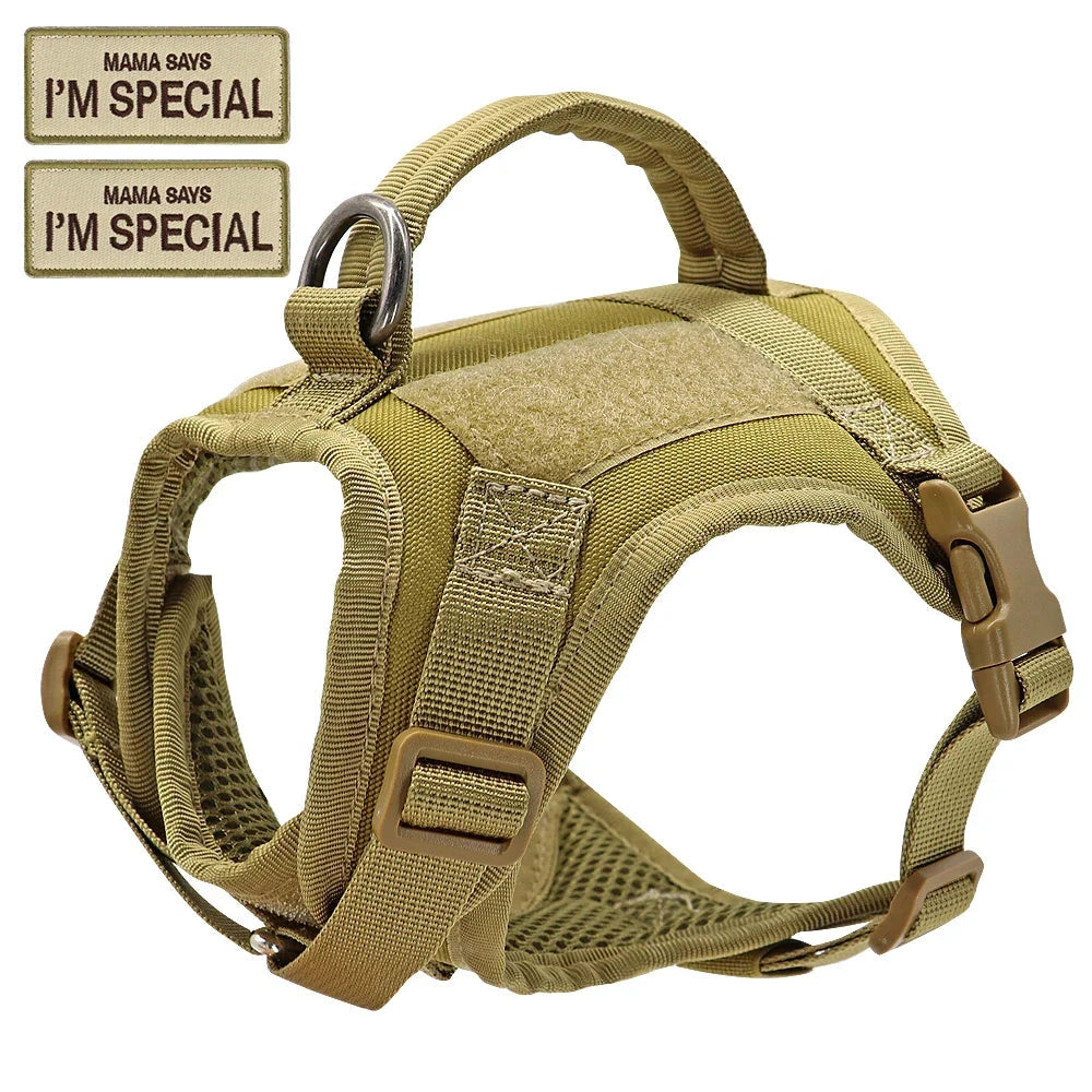 Adjustable escape-proof military-style cat harness with patches, durable and comfortable, displayed on a beige background.