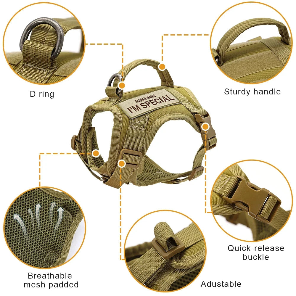 Adjustable escape-proof military-style cat harness with patches, showing durable and comfortable design.