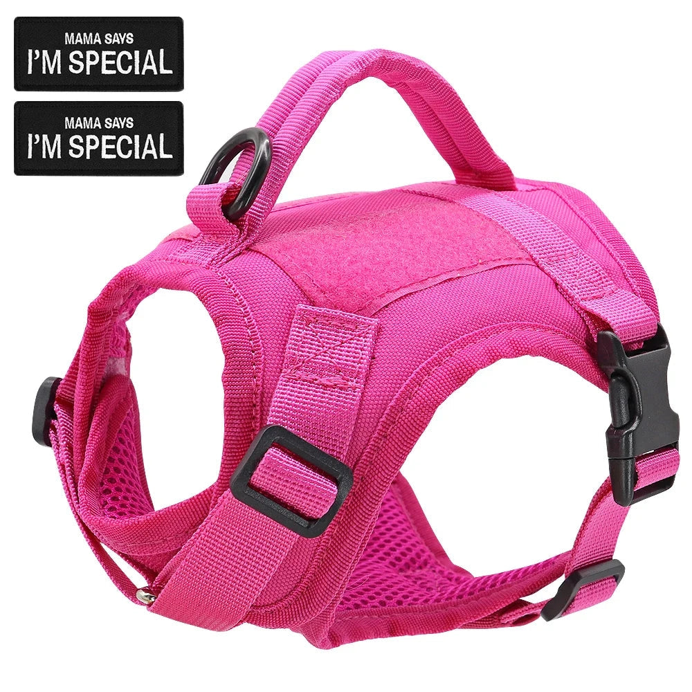 Adjustable escape-proof military-style cat harness with patches, shown in a durable and comfortable pink and violet material.