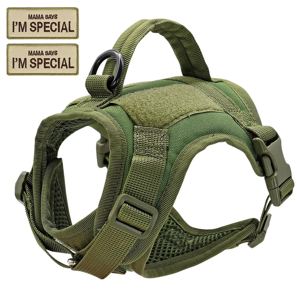 Adjustable military-style cat harness with durable straps and customizable patches, designed for comfort and escape prevention.