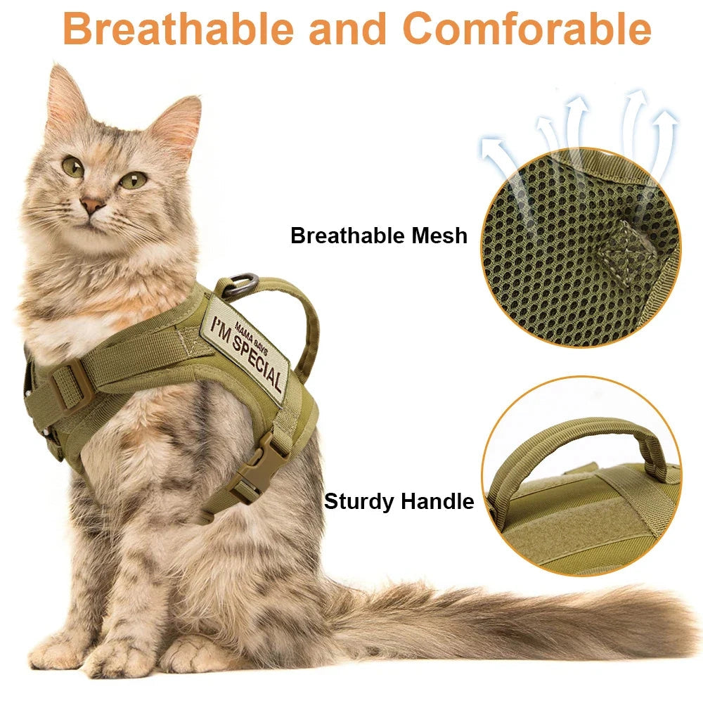 A cat wearing an adjustable escape-proof military-style harness with patches, featuring a durable and comfortable design.