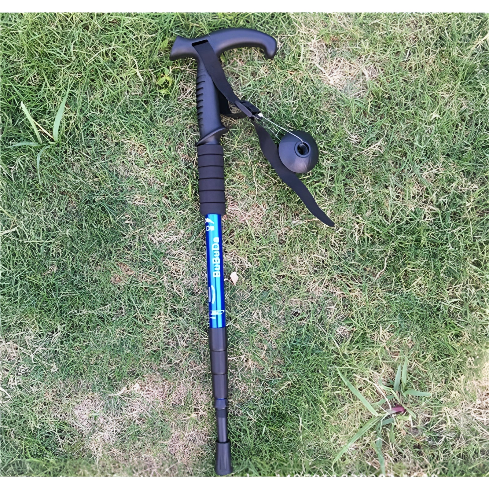 Blue adjustable shock-absorbing trekking poles, lightweight and ergonomic, with an L-shaped handle, standing on a grassy field.