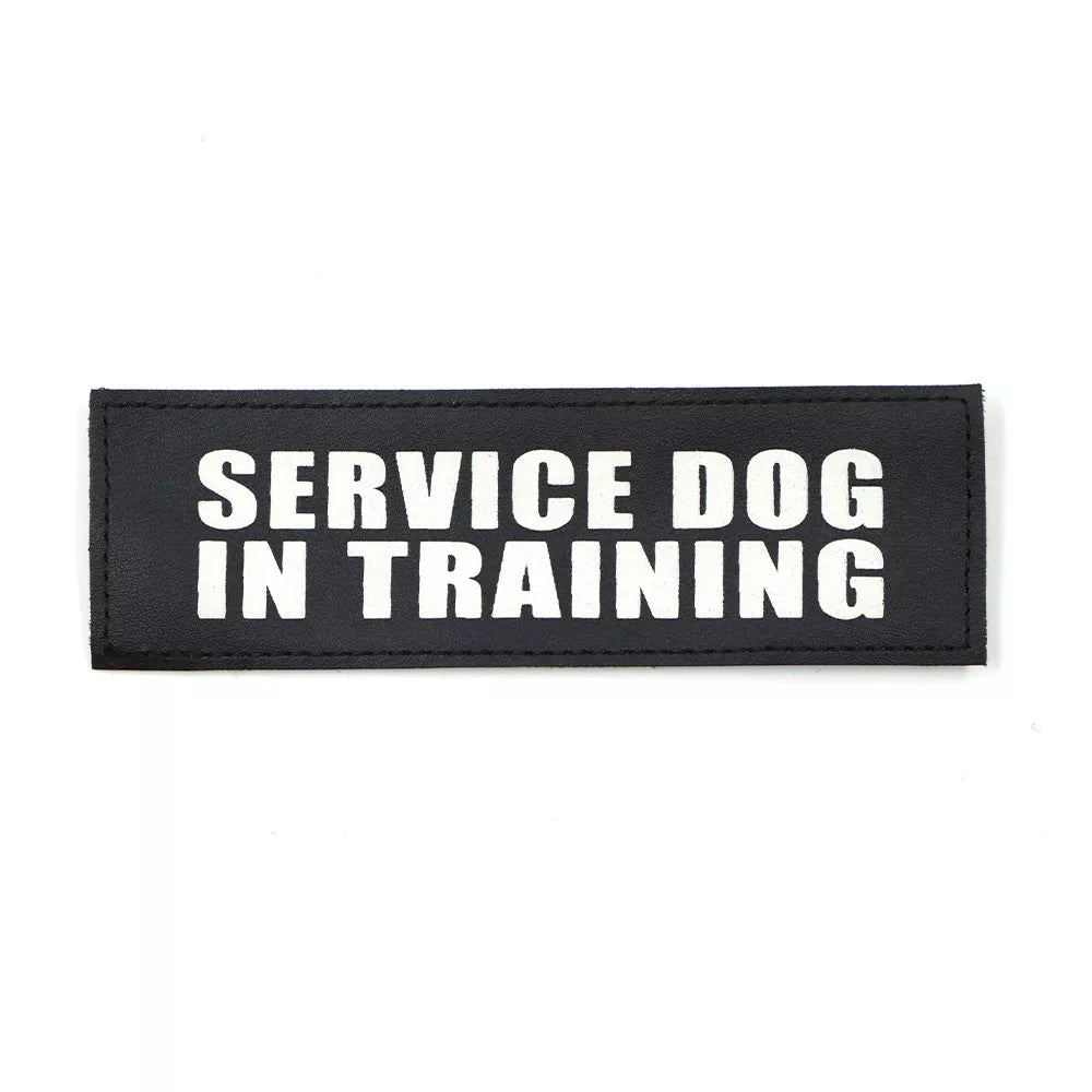 Service Dog in Training harness patch with bold electric blue text on a rectangular background.