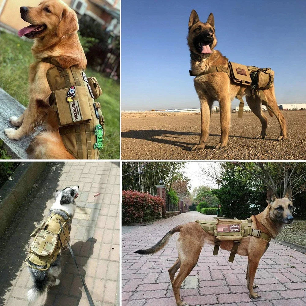 A dog wearing a harness with customizable patches that read "Service Dog," "Do Not Pet," and "Emotional Support" displayed outdoors.