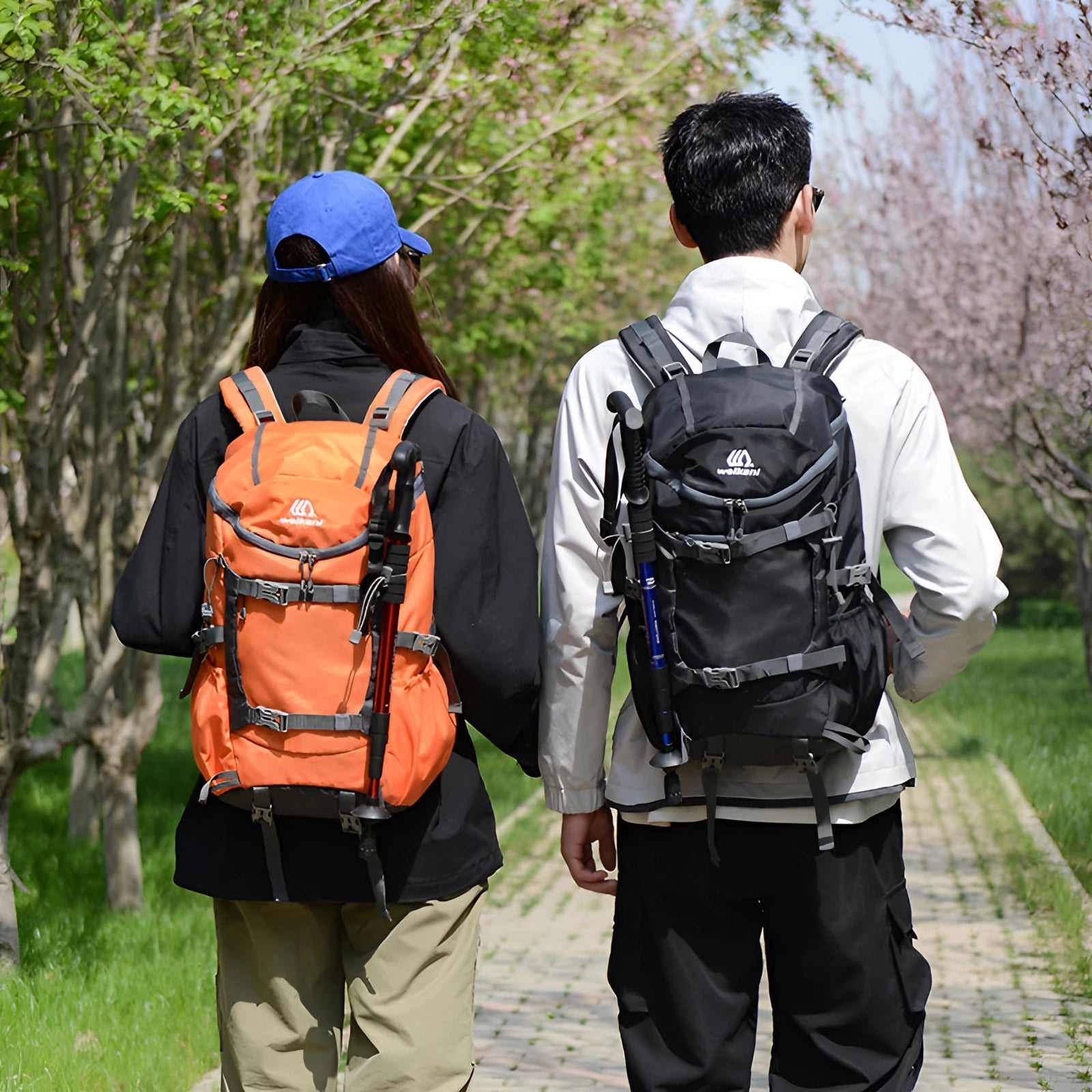 Lightweight multi-color hiking backpack with large capacity and water-resistant design, surrounded by lush greenery and trees, ideal for outdoor recreation and travel.