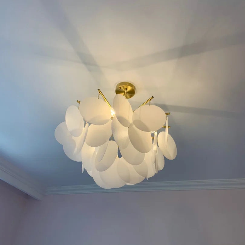 Rovenature LED Ceiling Lights