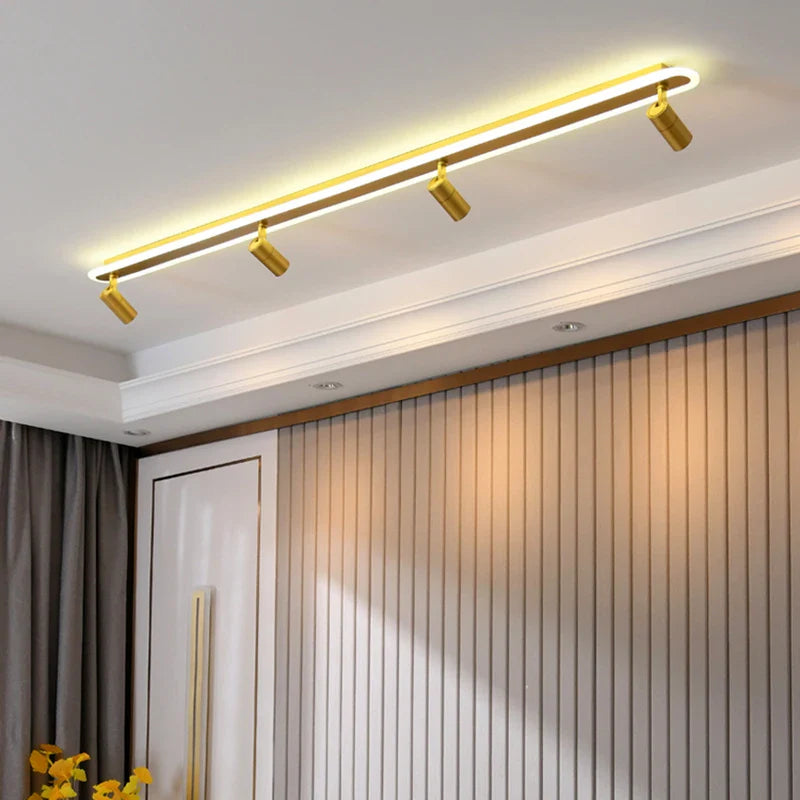 Dimmable Rovenature Ceiling Light