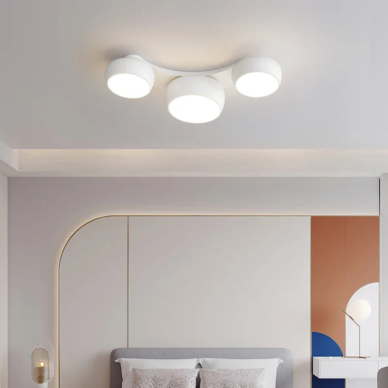 Rovenature Modern Ceiling Lamp