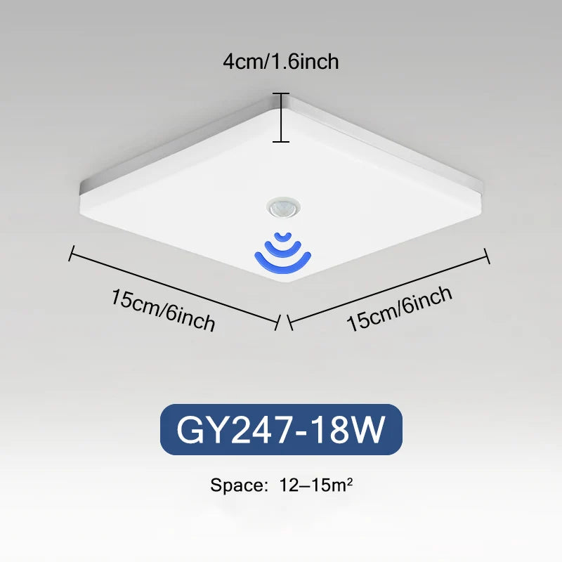 Rovenature Rectangular Ceiling Light with Motion Sensor