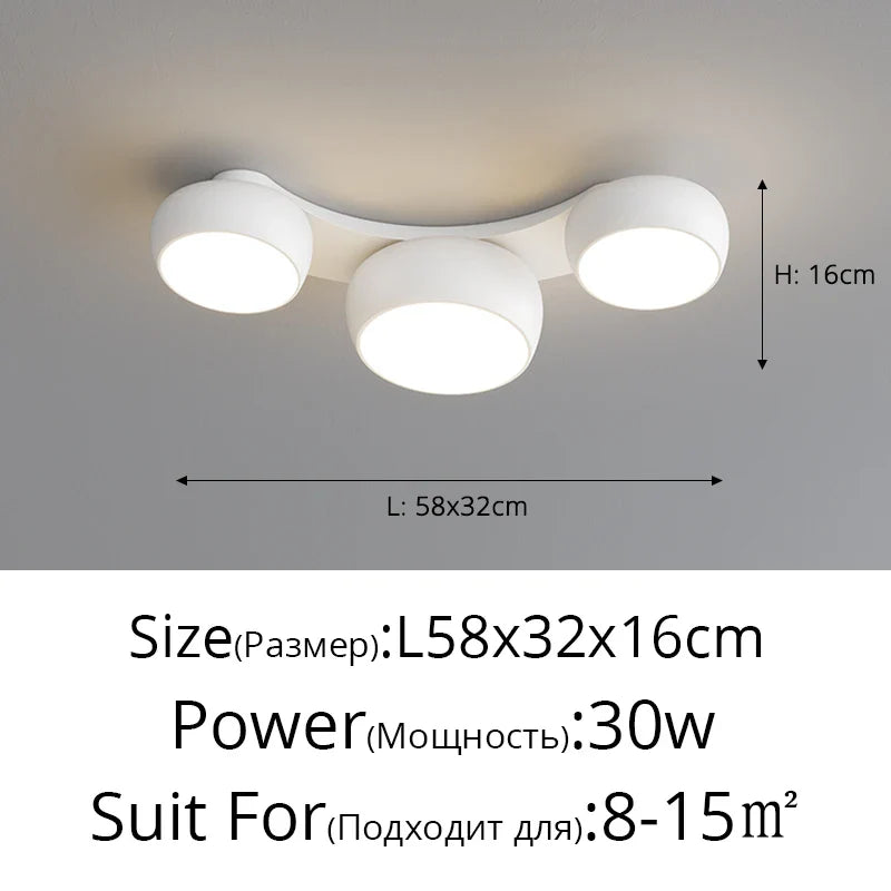 Rovenature Modern Ceiling Lamp