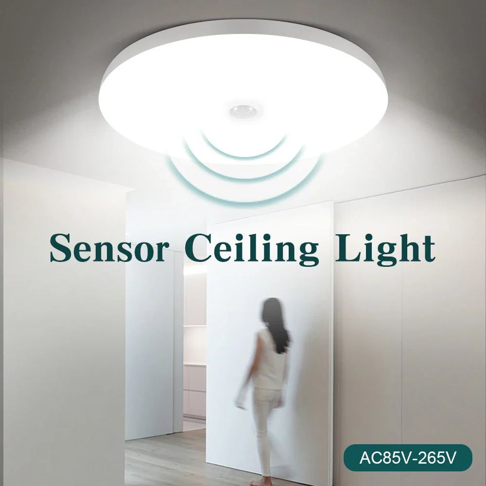 Rovenature Ceiling Light with Motion Sensor - Elegant LED Lighting for Indoor and Outdoor Areas