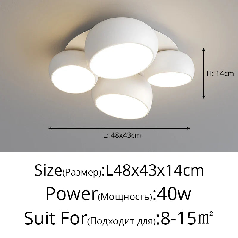 Rovenature Modern Ceiling Lamp