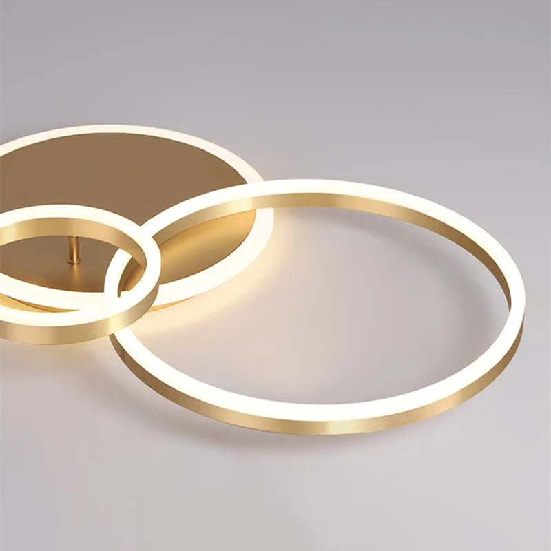 Rovenature Modern LED Ceiling Light