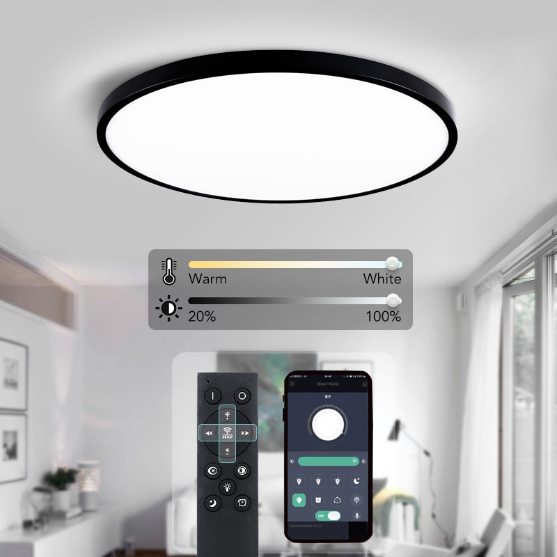 Affordable Rovenature Ceiling Light with Color Changer and Remote Control