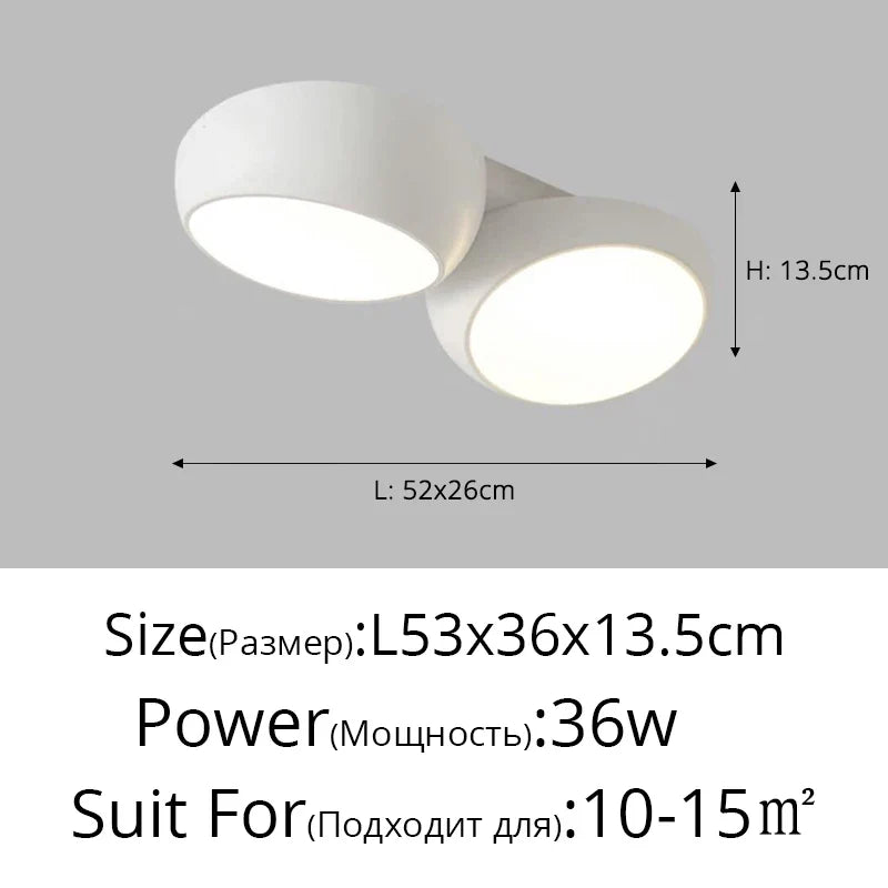 Rovenature Modern Ceiling Lamp