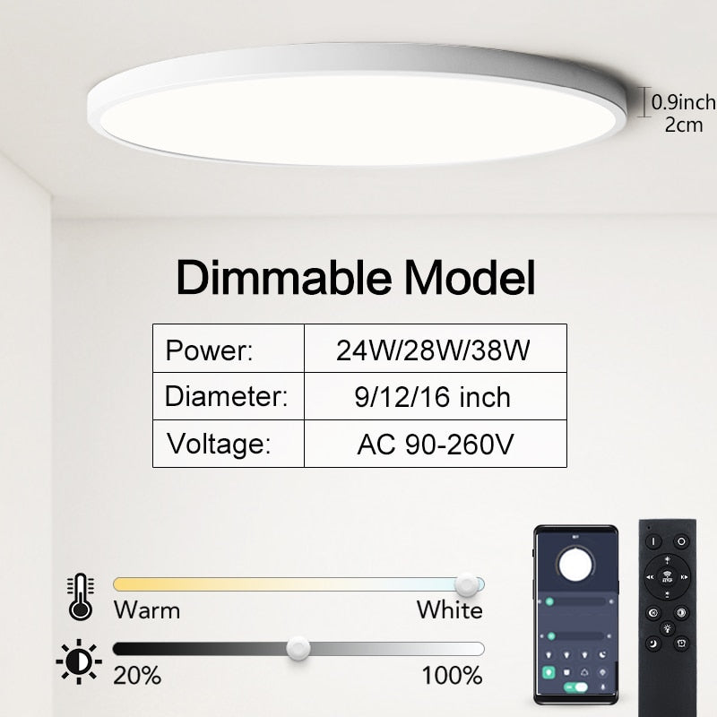 Affordable Rovenature Ceiling Light with Color Changer and Remote Control