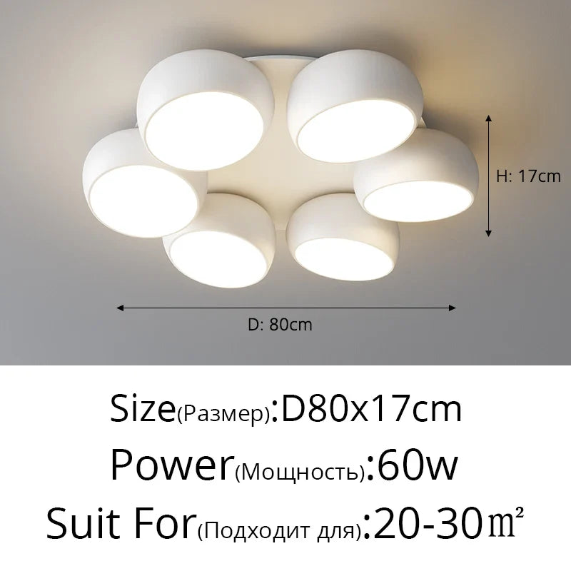 Rovenature Modern Ceiling Lamp