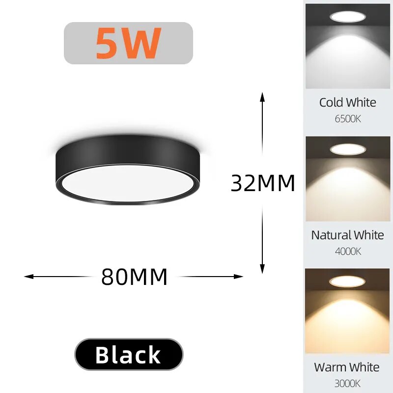 Rovenature LED Ceiling Light – Elegant Light Color for Every Room