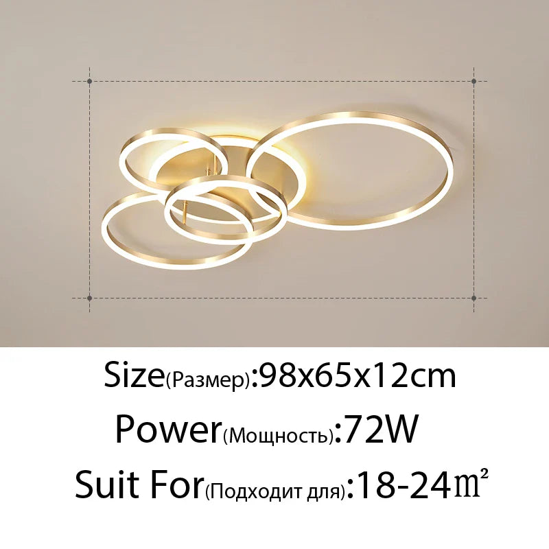 Rovenature Modern LED Ceiling Light