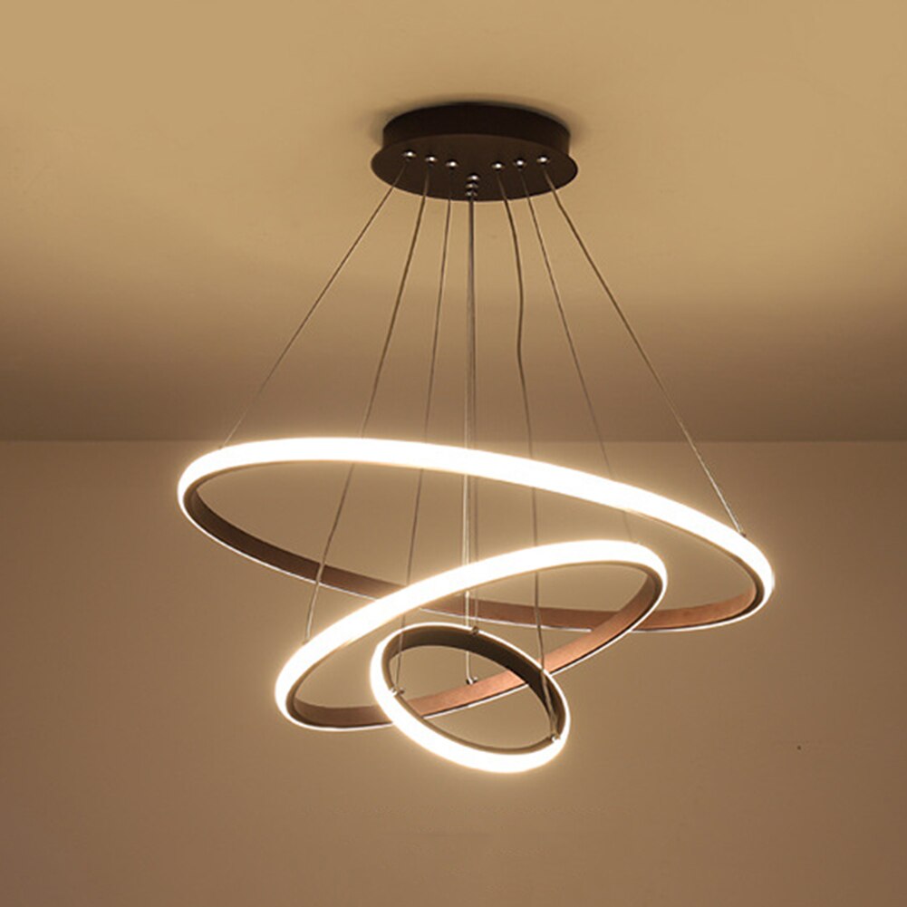 Rovenature Hanging Ceiling Light for the Living Room