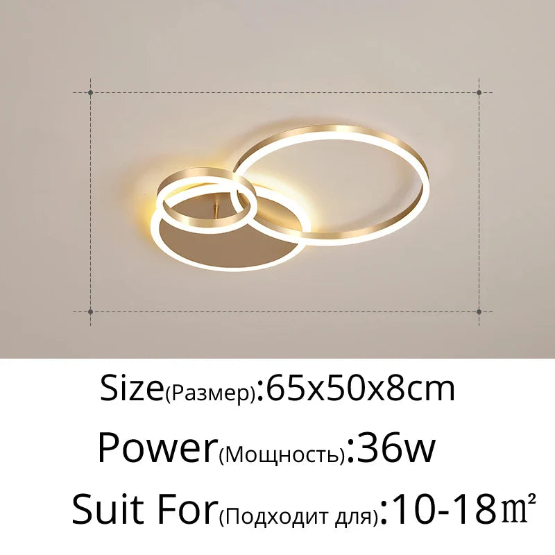 Rovenature Modern LED Ceiling Light