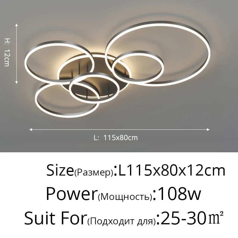 Rovenature Modern LED Ceiling Light