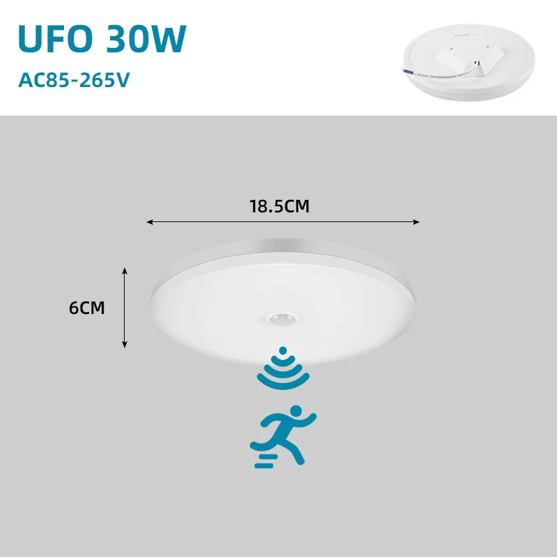 Rovenature Ceiling Light with Motion Sensor - Elegant LED Lighting for Indoor and Outdoor Areas