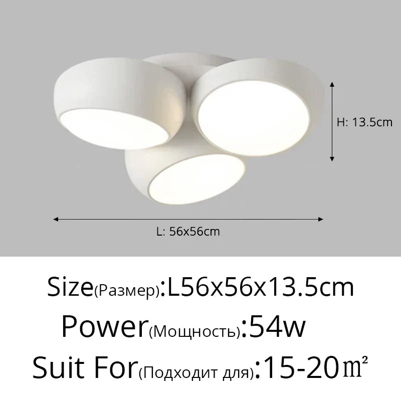 Rovenature Modern Ceiling Lamp