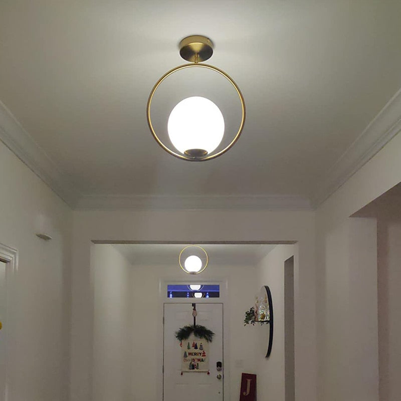 Rovenature Hanging LED Ceiling Light