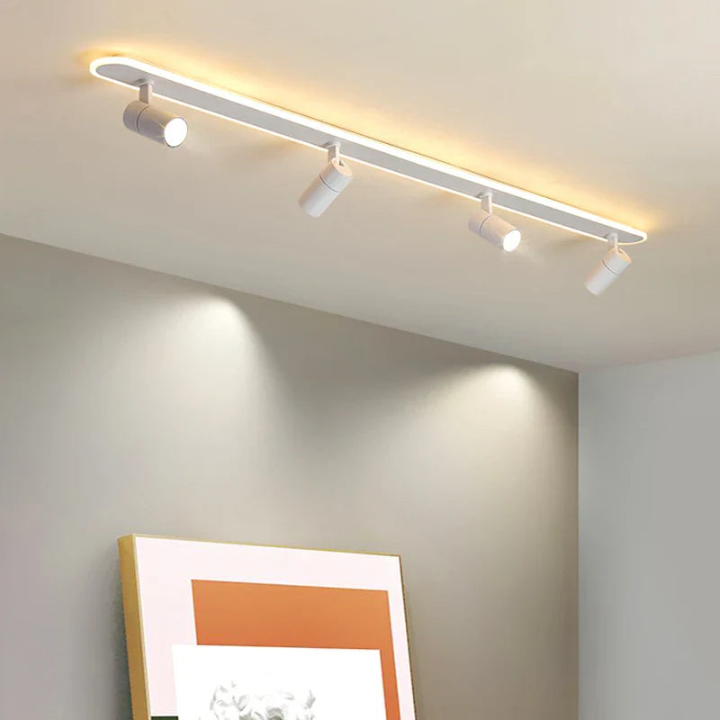 Dimmable Rovenature Ceiling Light