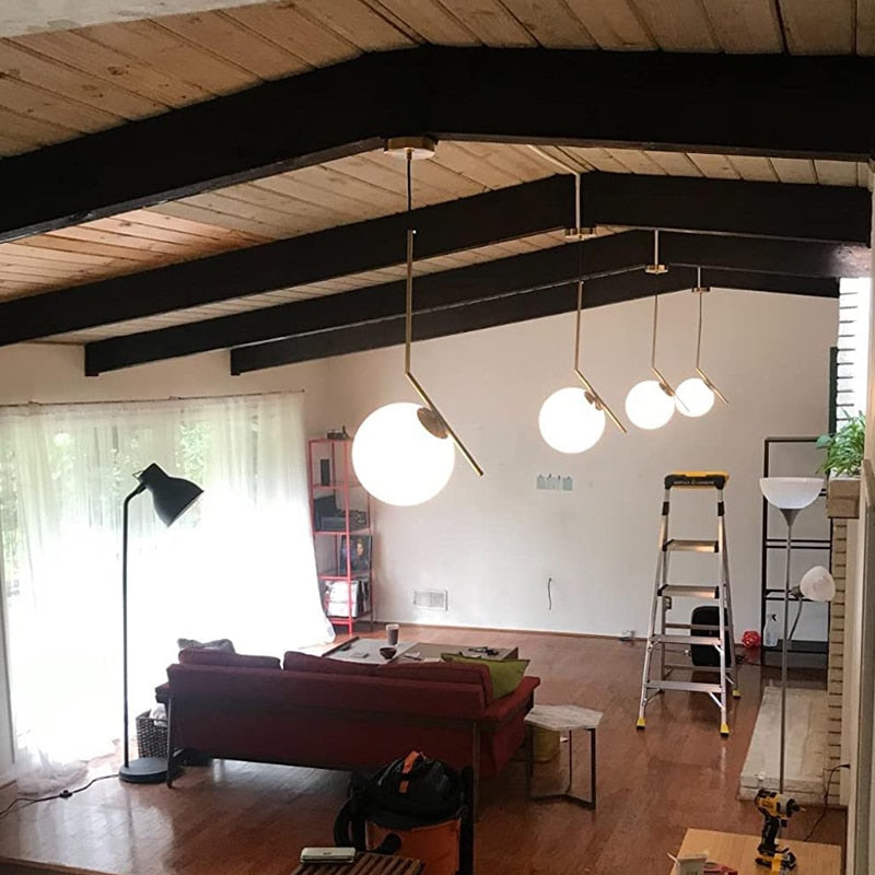 Rovenature Hanging LED Ceiling Light