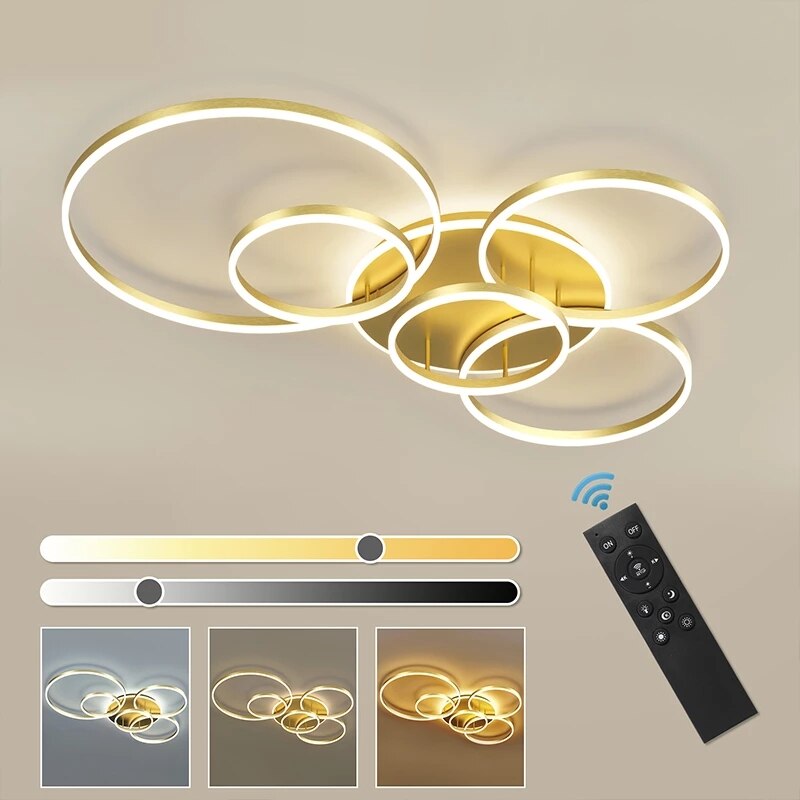 Rovenature Flat Ceiling Lights with Remote Control