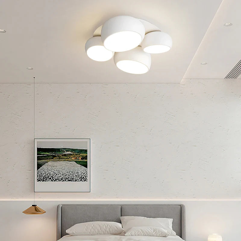 Rovenature Modern Ceiling Lamp