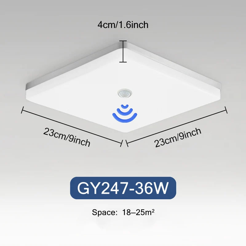 Rovenature Rectangular Ceiling Light with Motion Sensor