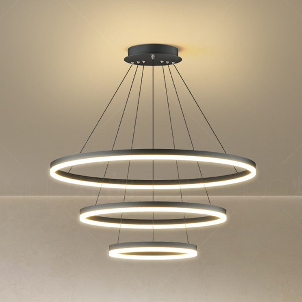 Rovenature Hanging Ceiling Light for the Living Room