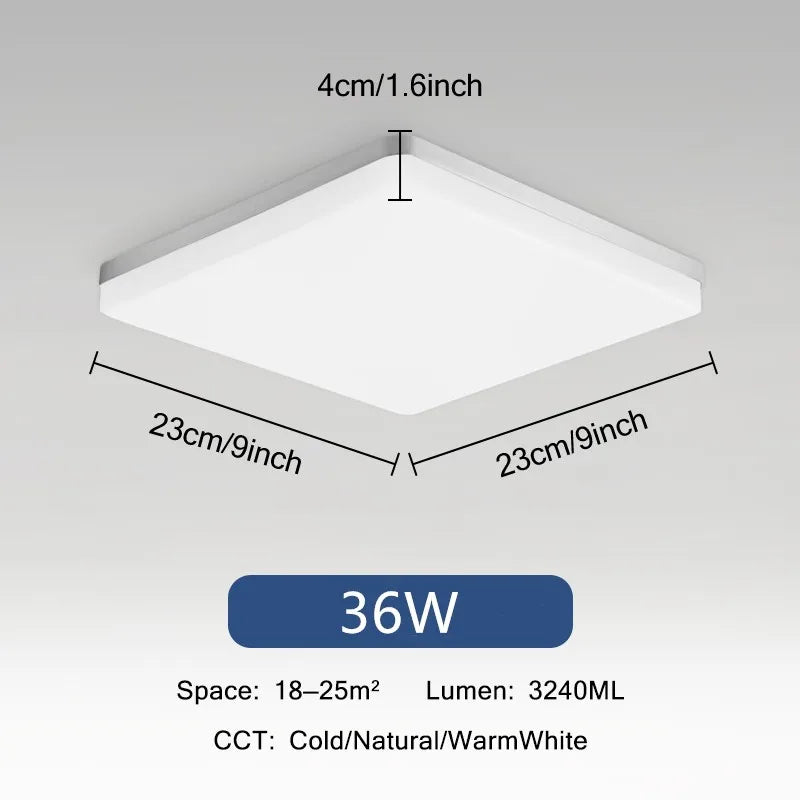 Rovenature Rectangular Ceiling Light with Motion Sensor