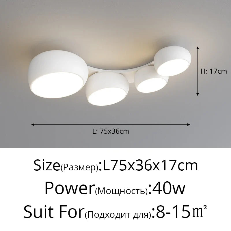 Rovenature Modern Ceiling Lamp