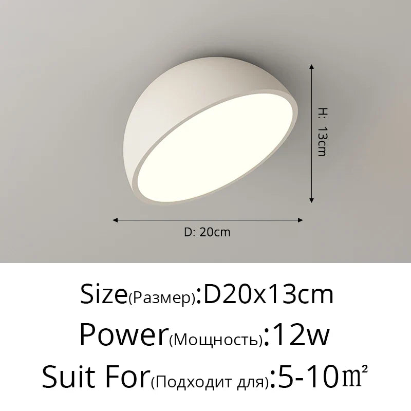 Rovenature Modern Ceiling Lamp