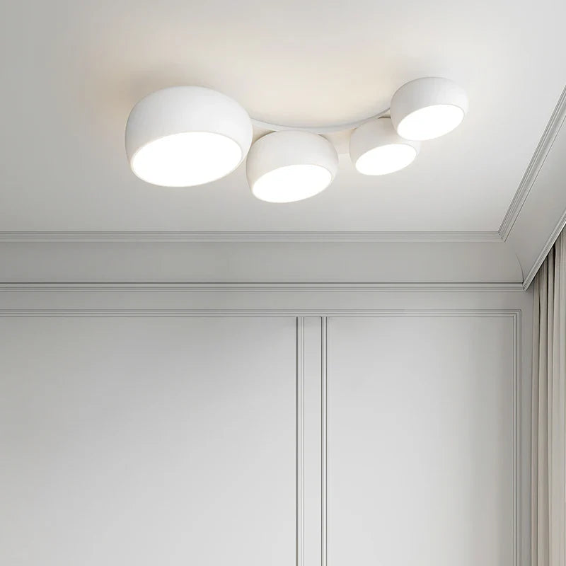 Rovenature Modern Ceiling Lamp