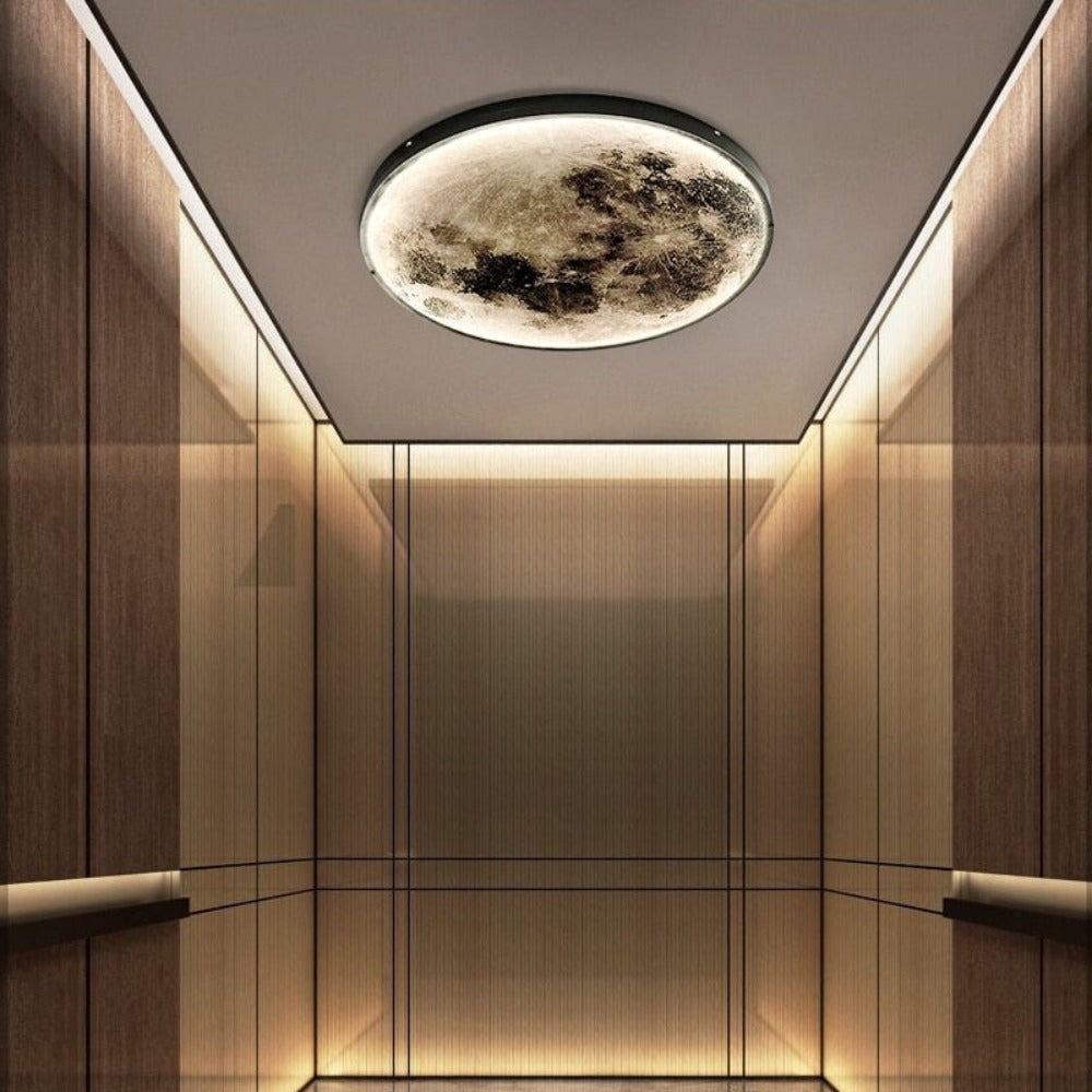 3D LED Rovenature Ceiling and Wall Light